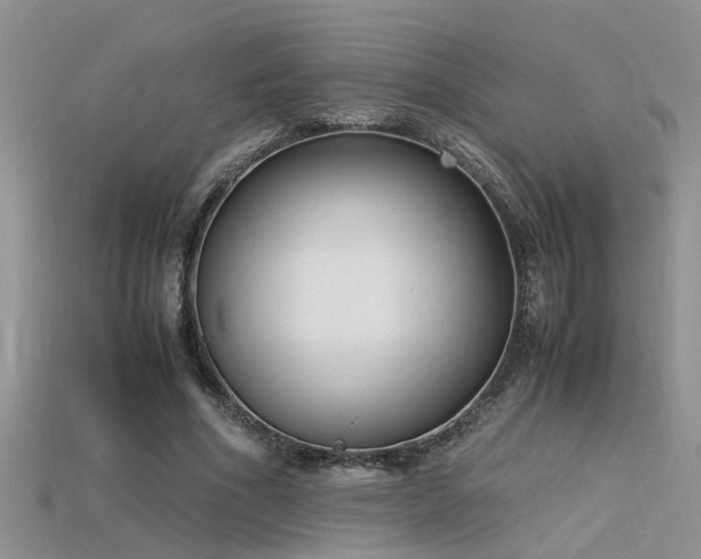 X0000115760586200911131157