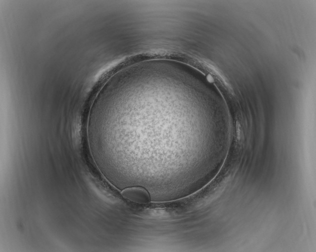X0000115760588200911131157