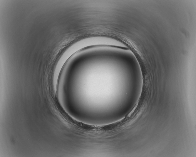 X0000115760589200911131157