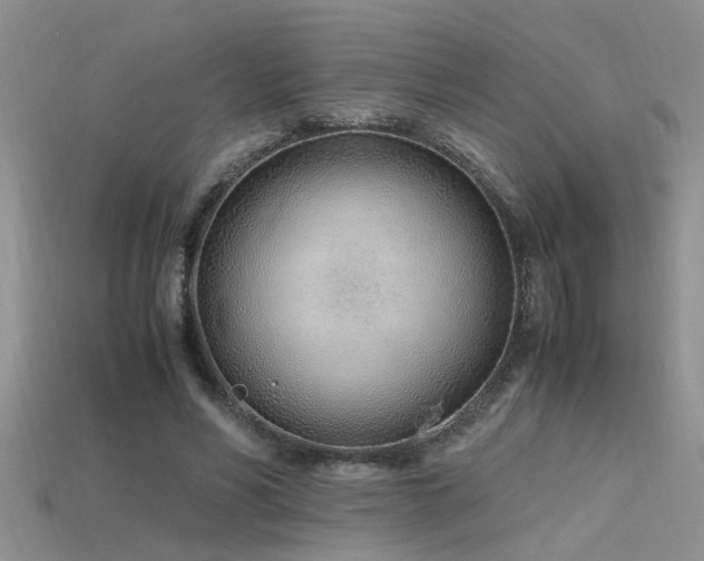 X0000115760590200911131157