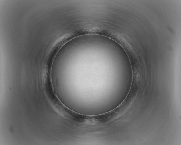 X0000115760591200911131157