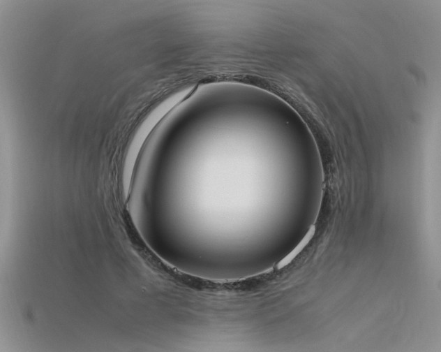 X0000115760593200911131157