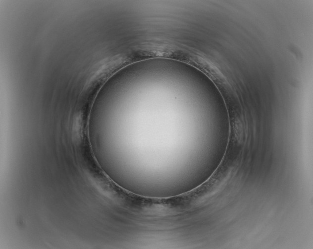 X0000115760594200911131157