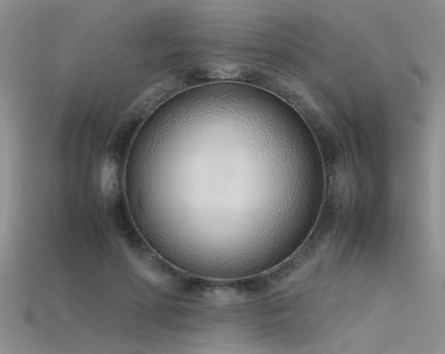 X0000115760598200911131157