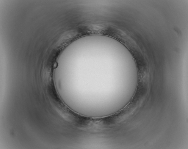 X0000115760599200911131157