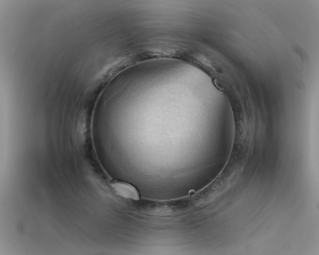 X0000115760600200911131157