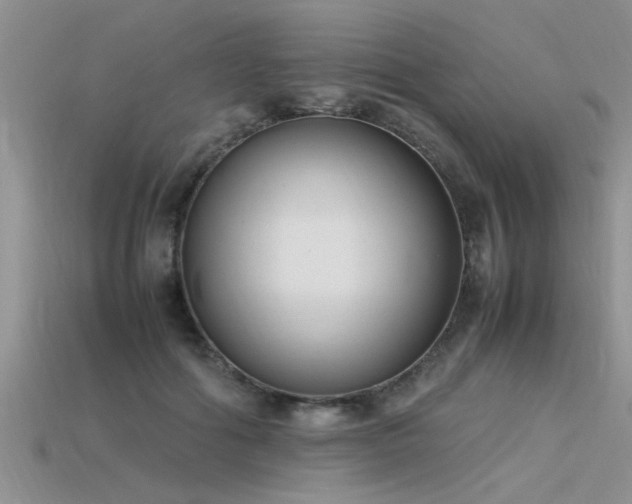 X0000115760602200911131157