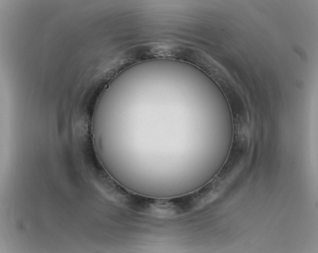 X0000115760603200911131157