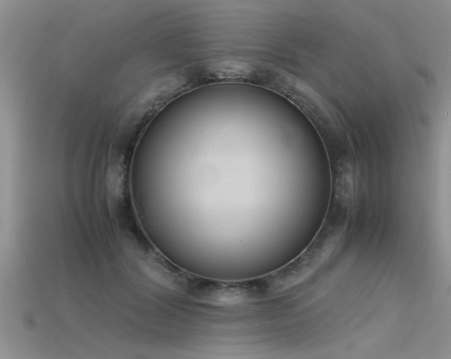 X0000115760604200911131157