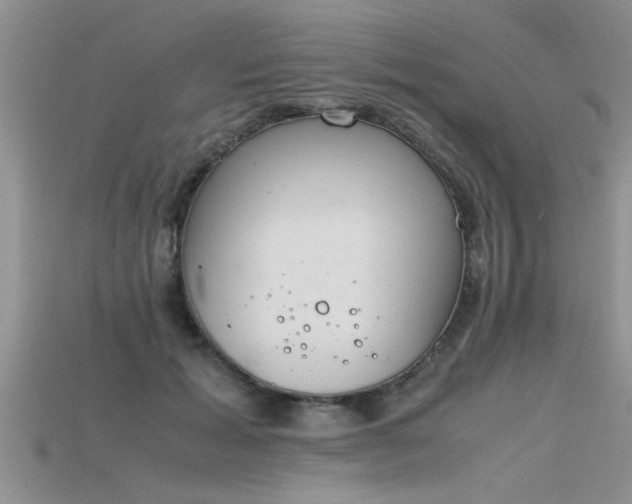 X0000115760605200911131157
