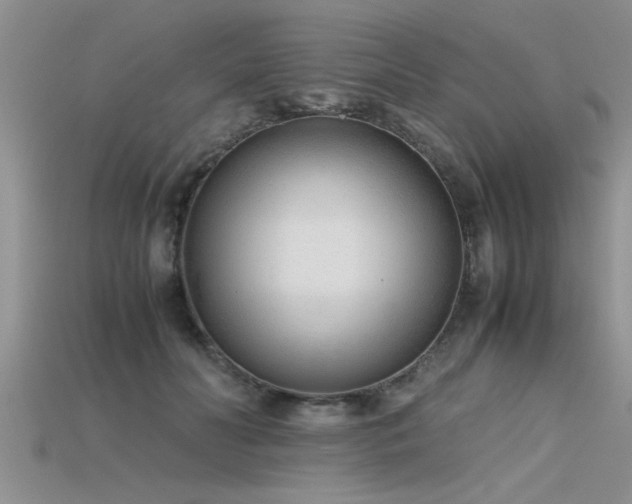 X0000115760606200911131157
