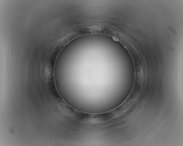 X0000115760608200911131157