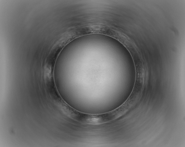 X0000115760610200911131157