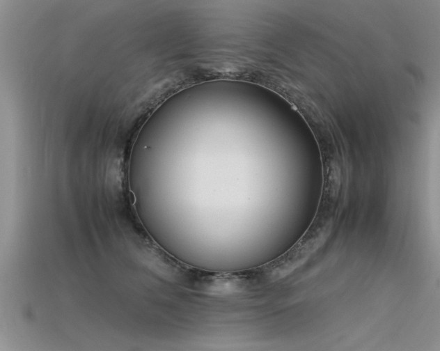 X0000115760612200911131157
