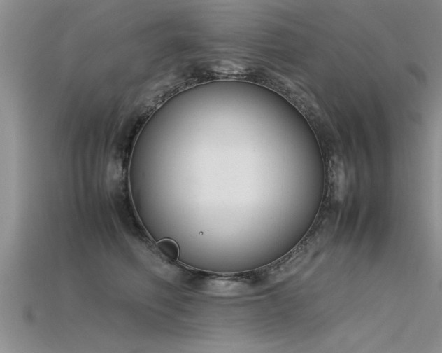 X0000115760614200911131157