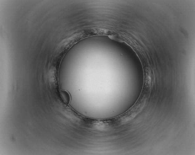 X0000115760616200911131157