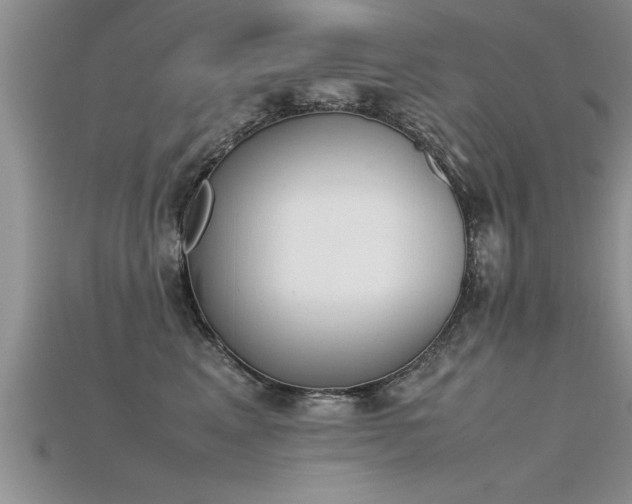 X0000115760617200911131157