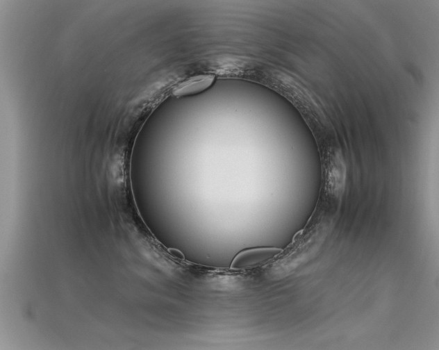 X0000115760620200911131157
