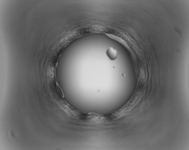 X0000115760621200911131157