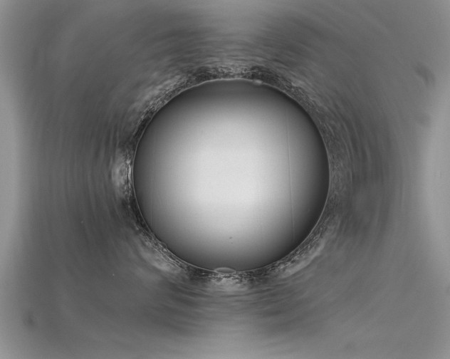 X0000115760624200911131157