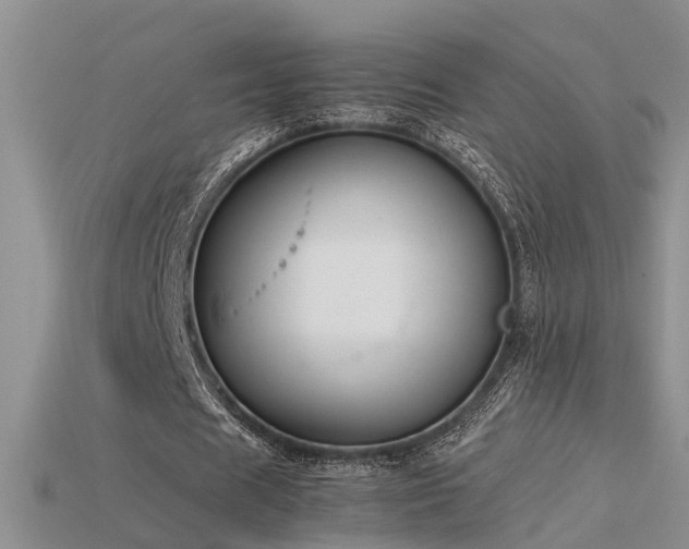 X0000115760625200911131156