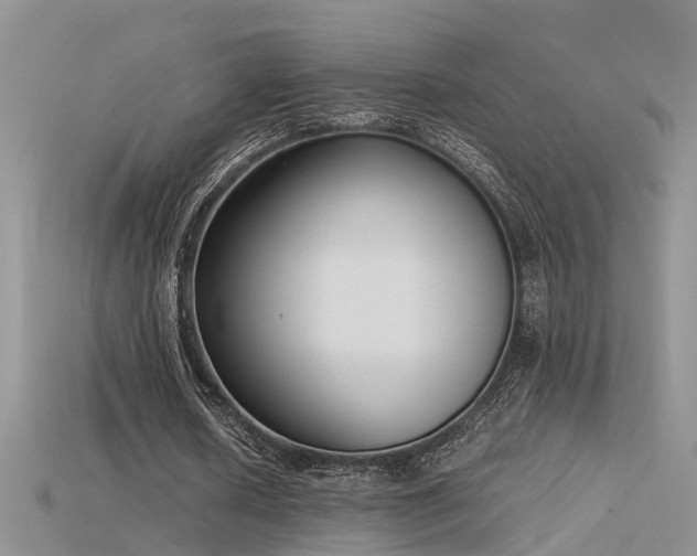 X0000115760626200911131156