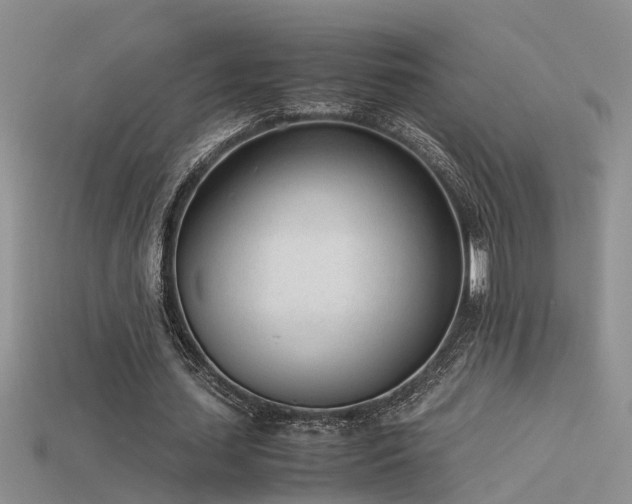 X0000115760627200911131156