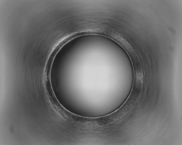 X0000115760628200911131156