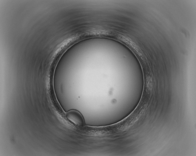 X0000115760629200911131156