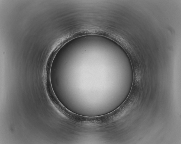 X0000115760630200911131156