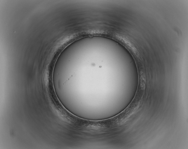 X0000115760631200911131156