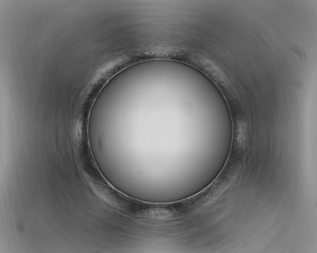 X0000115760636200911131156