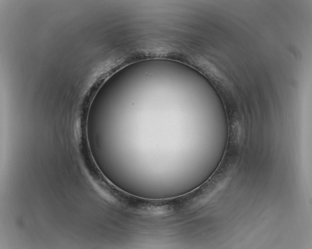 X0000115760638200911131156