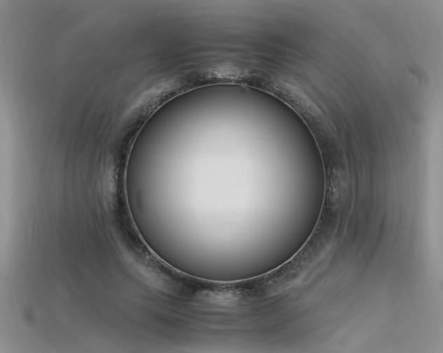X0000115760639200911131156