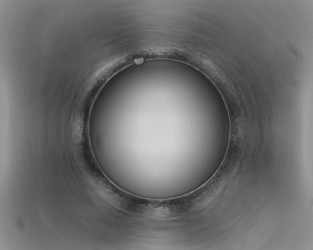 X0000115760640200911131156