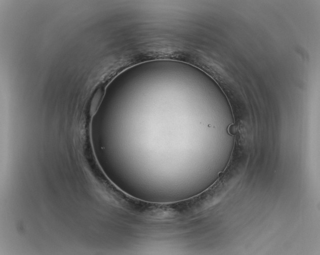 X0000115760642200911131156