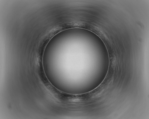 X0000115760643200911131156