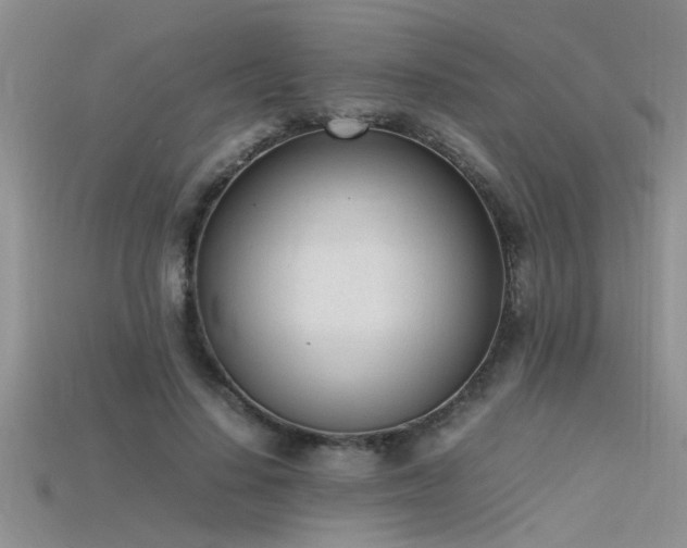 X0000115760644200911131156