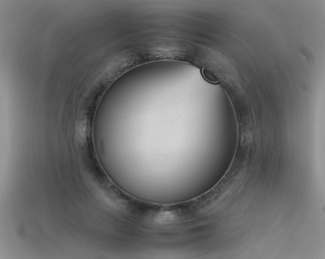 X0000115760647200911131156