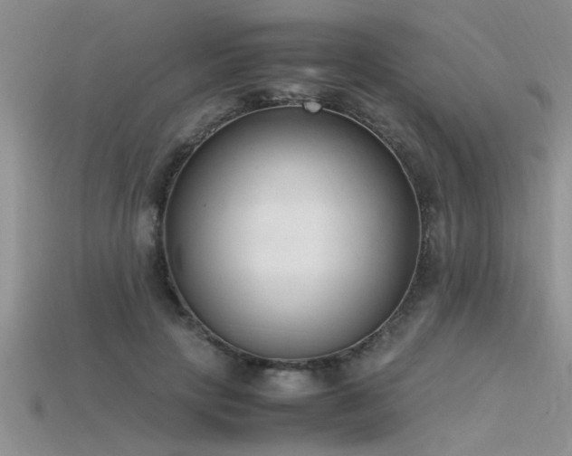 X0000115760649200911131156
