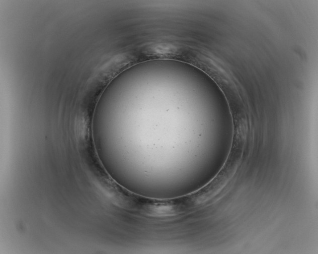 X0000115760651200911131157