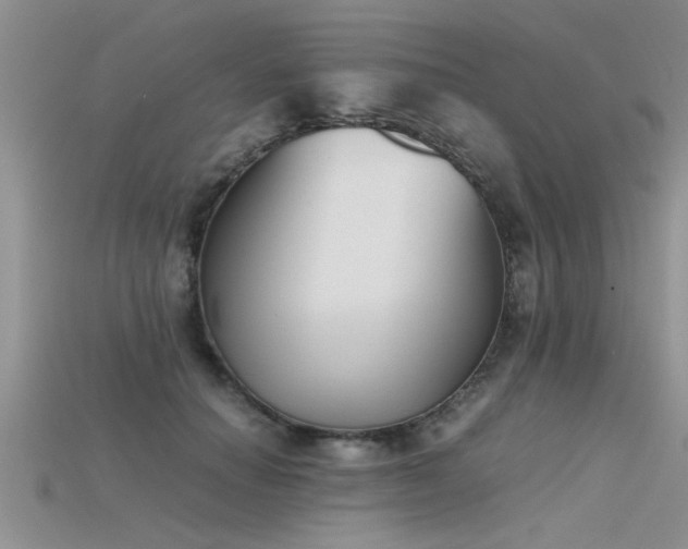 X0000115760654200911131157