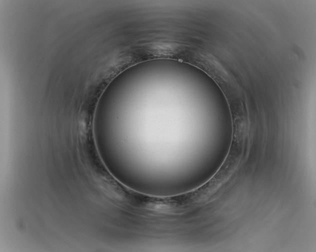 X0000115760655200911131157