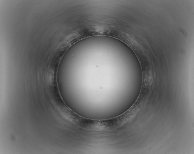 X0000115760656200911131157