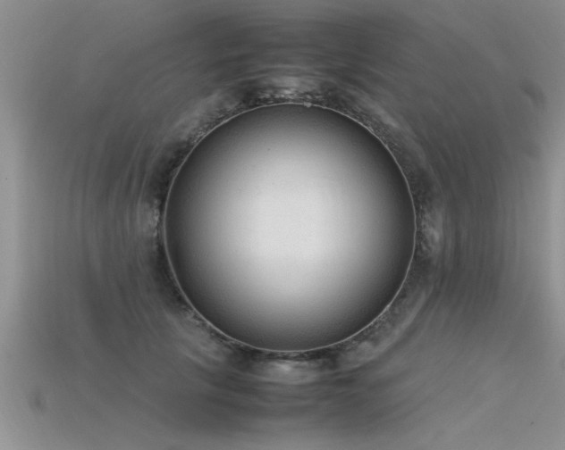 X0000115760657200911131157