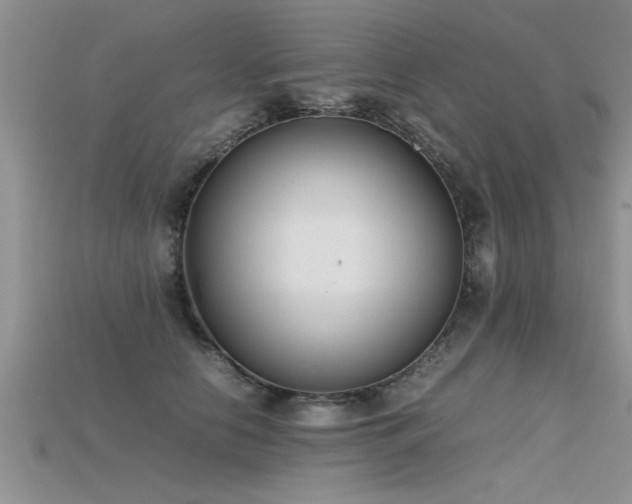 X0000115760658200911131157