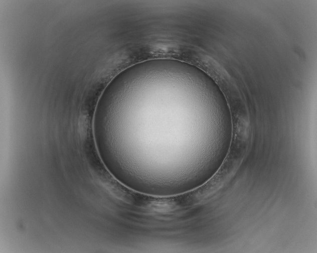 X0000115760659200911131157