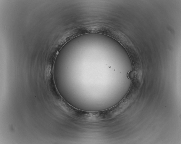 X0000115760660200911131157
