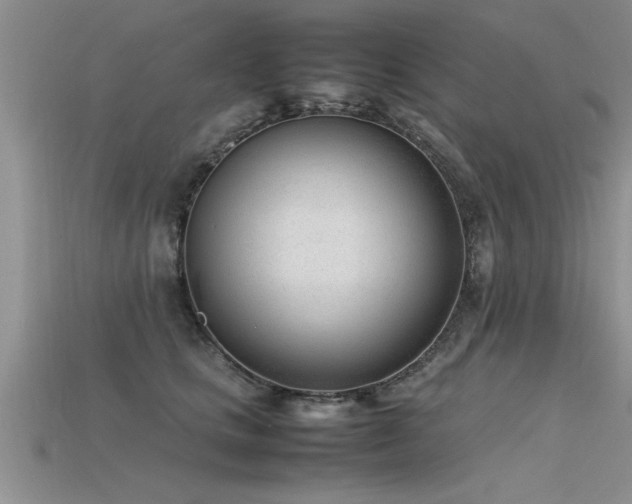 X0000115760661200911131157