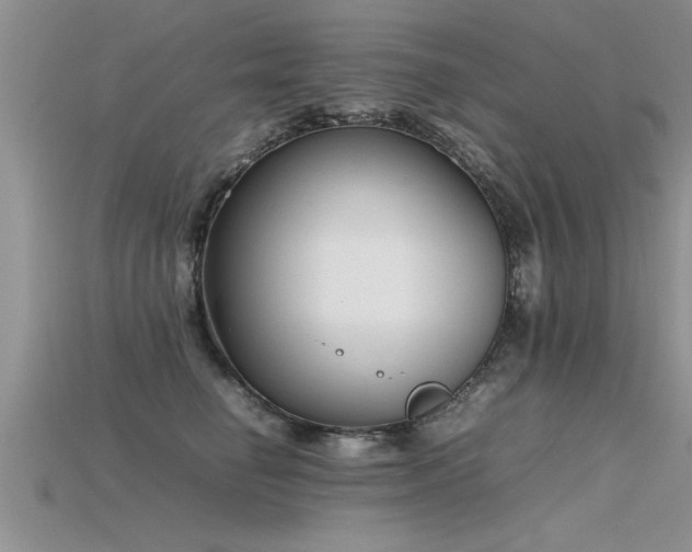 X0000115760662200911131157